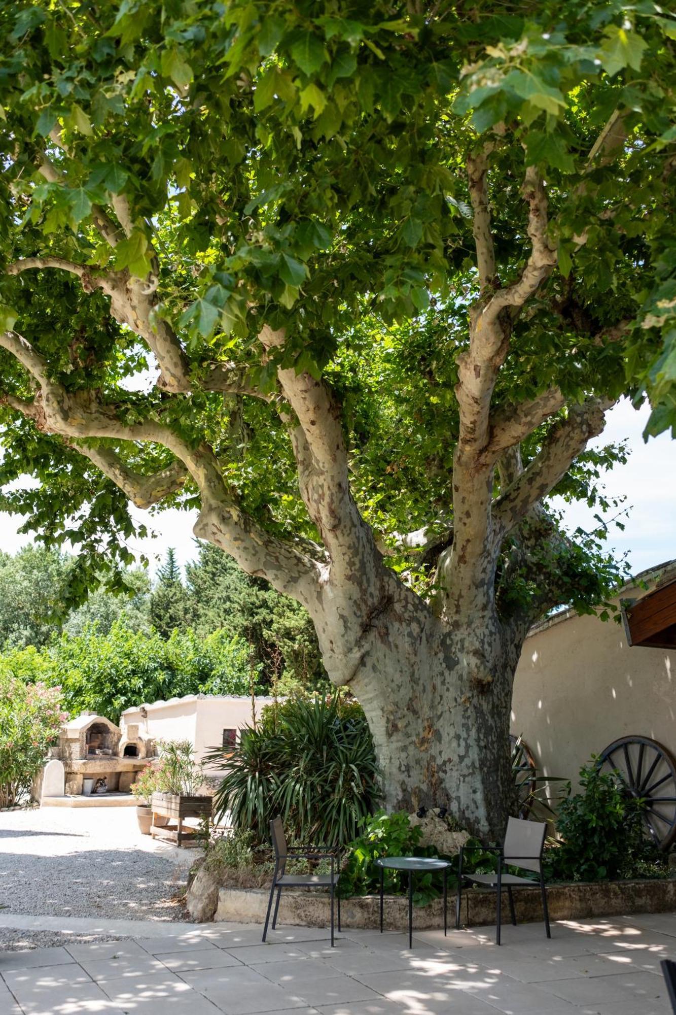 Le Vieux Platane Hotel Cairanne Kültér fotó